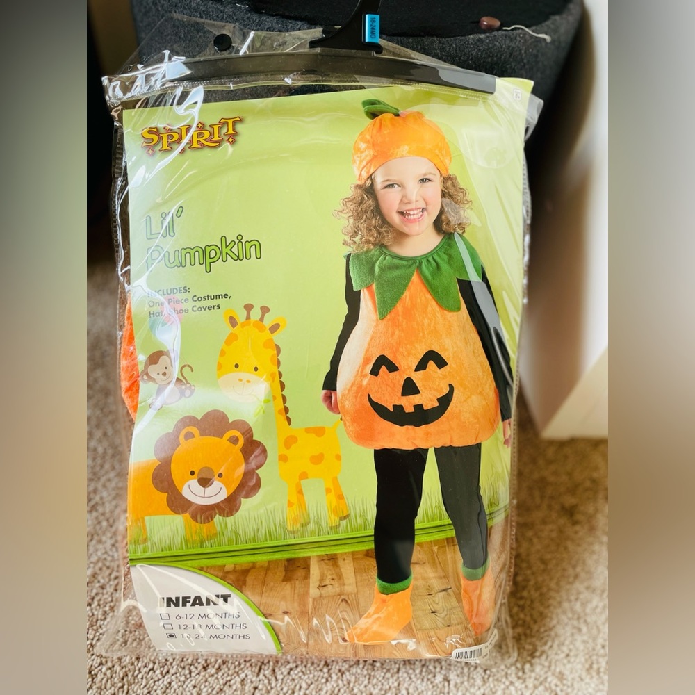 Pumpkin costume